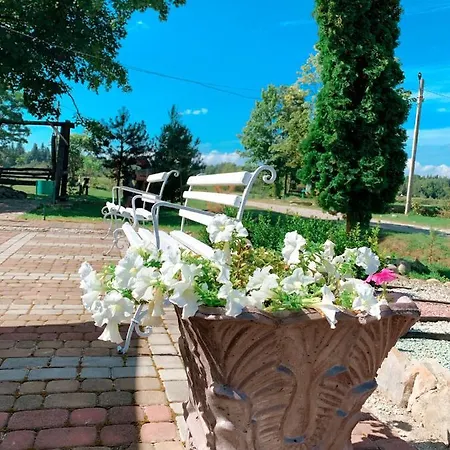 явір агро * Vyshnivtsi