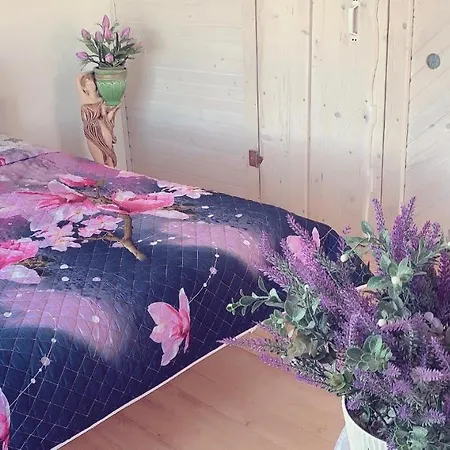 явір агро * Vyshnivtsi